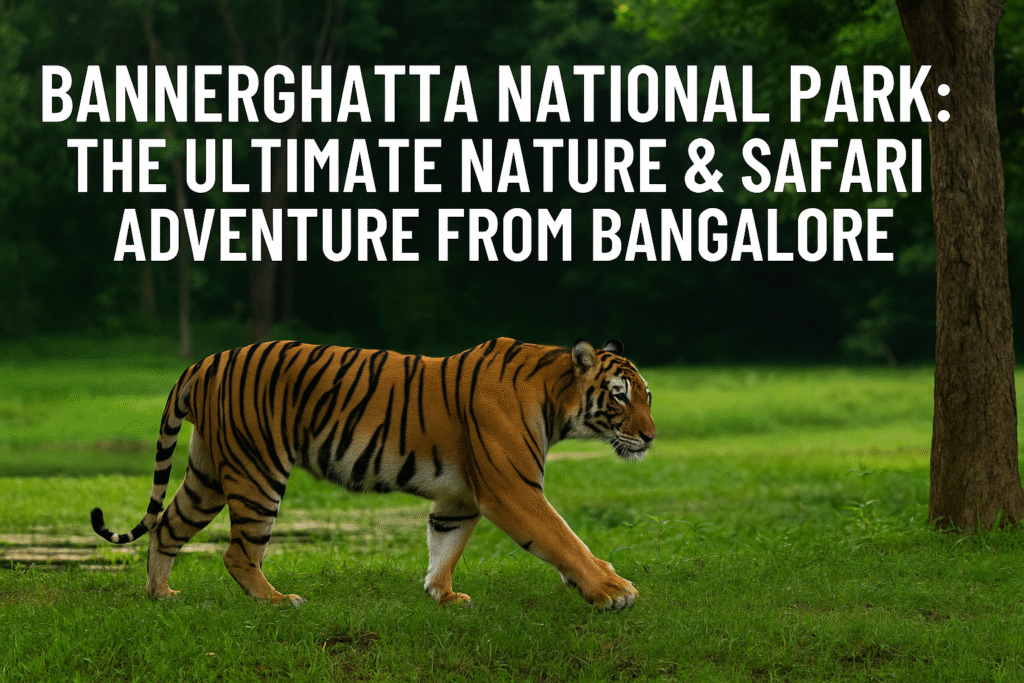 Bannerghatta National Park